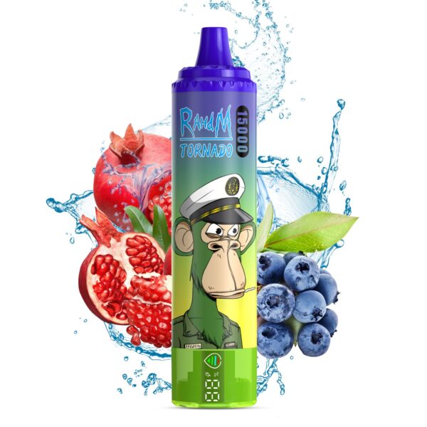 Fumot-RandM-Tornado-15000-BLUEBERRY-POMEGRANATE Fumot RandM Tornado 15000 – Einweg Vape mit 25ml, 850mAh & 60+ Geschmacksrichtungen